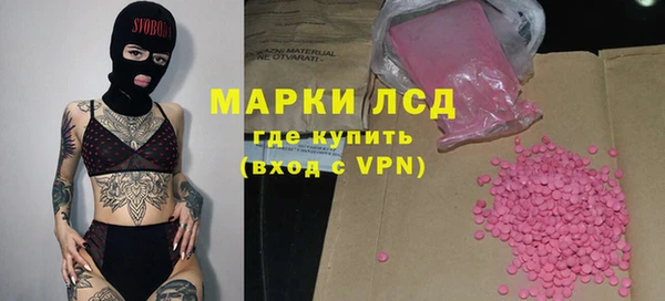 хмурый Верея