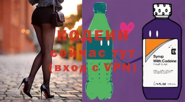 хмурый Верея