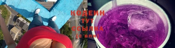 хмурый Верея