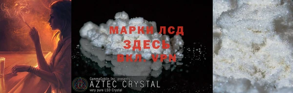 хмурый Верея