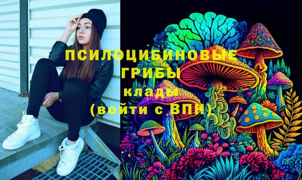хмурый Верея