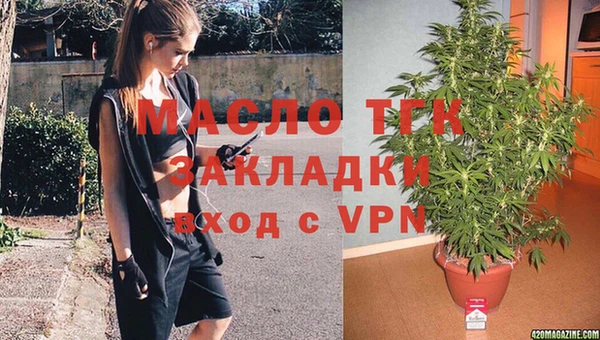 хмурый Верея