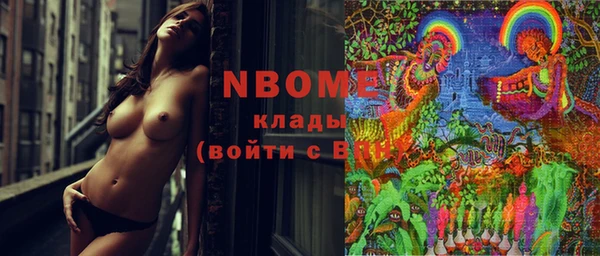 хмурый Верея