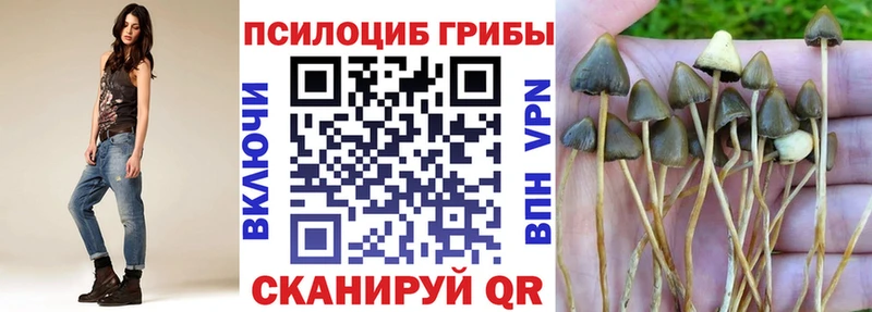 Галлюциногенные грибы Magic Shrooms  Купить  Баймак 